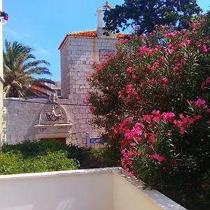 https://pag-studio-garden.hotelinzadar.com